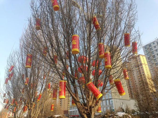 新春走基层期待！2024年榆林城区春节亮化工程全面启动(图4)