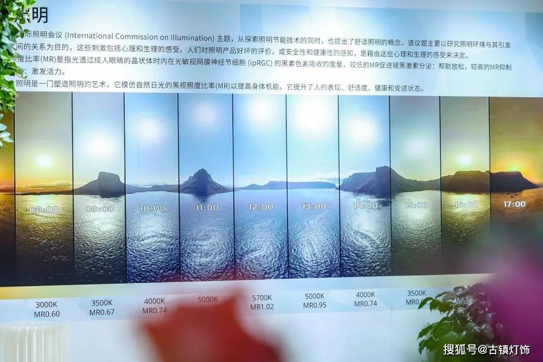 三雄、佛照、公牛、欧曼等超3000家参展！2024年光亚展亮点提前曝光→(图6)