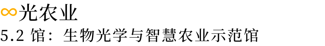 三雄、佛照、公牛、欧曼等超3000家参展！2024年光亚展亮点提前曝光→(图13)