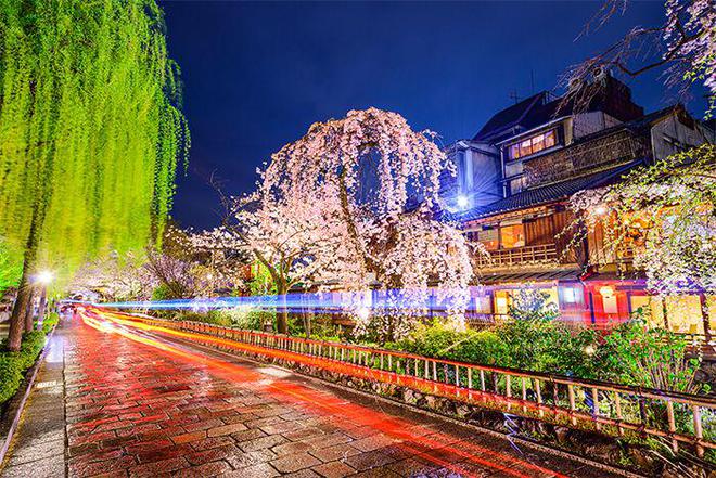 PG电子平台：想让游客流连忘返？看看这个景区亮化秘诀！(图3)