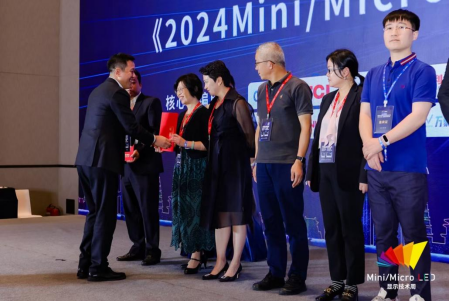 《2024MiniMicroLED显示产业白皮书》发布厦门质检院贡献智慧力量(图1)
