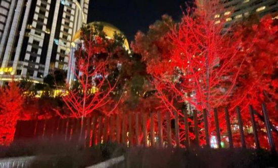 南京路步行街世纪广场景观照明上新科技感十足(图4)