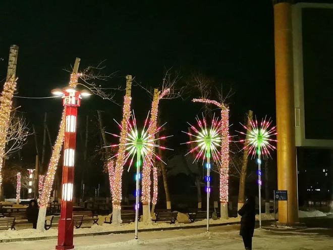 亮化添彩牙克石夜色灯光璀璨！(图6)