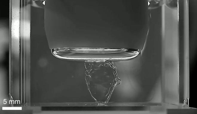 PG电子平台：3D打印科研突破：2024年《Science》和《Nature》上的十篇文章中国占4成(图17)