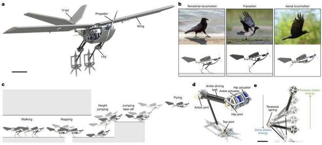 PG电子平台：3D打印科研突破：2024年《Science》和《Nature》上的十篇文章中国占4成(图19)