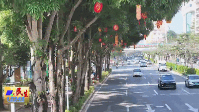 年味渐浓！阳江市区迎春灯饰亮化工程启动超期待(图1)