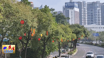 年味渐浓！阳江市区迎春灯饰亮化工程启动超期待(图4)