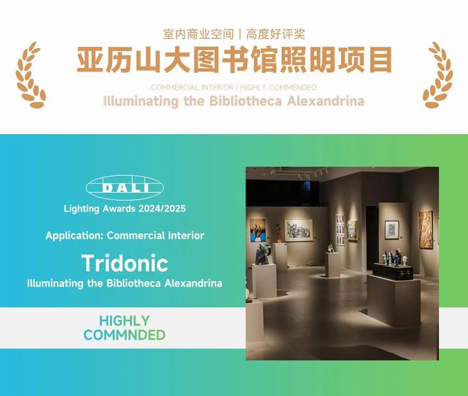 三度获奖这家企业荣获2024年度DALI照明奖(图1)