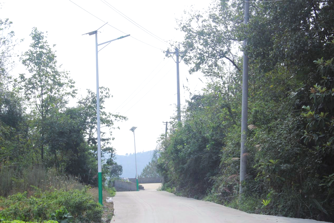 金沙县柳塘镇：亮化工程再升级照亮群众出行路(图3)