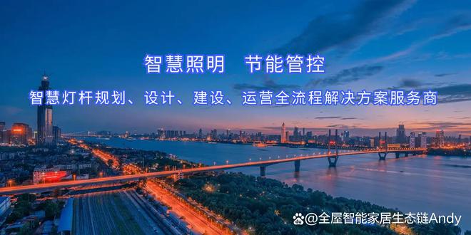 PG电子科技：智慧路灯智慧用电解决方案城市照明系统(图3)