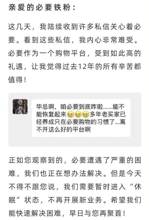 烧光3000万美元！又一中产最爱的电商平台停运曾叫板淘宝！(图1)