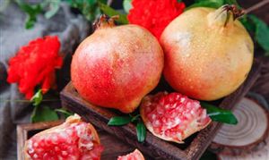 2024年照明产业现状及未来发展趋势分析报告(图3)