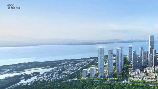 ⚡新时代鼎豪｜联泰超总湾售楼处发布：以品质铸就永恒藏品(图9)
