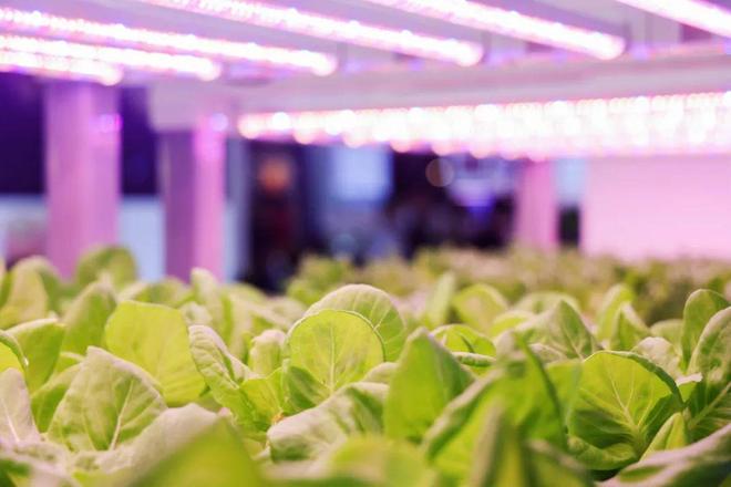 规模创历史新高！GILE2024精彩亮点抢先看！(图16)