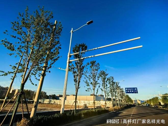 8米中杆灯厂家(图2)